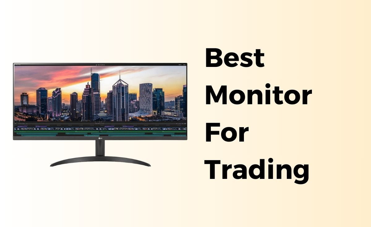 Best Monitor for Trading In India